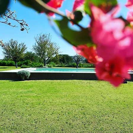Villa Charming Retreat In The Sicilian Countryside *